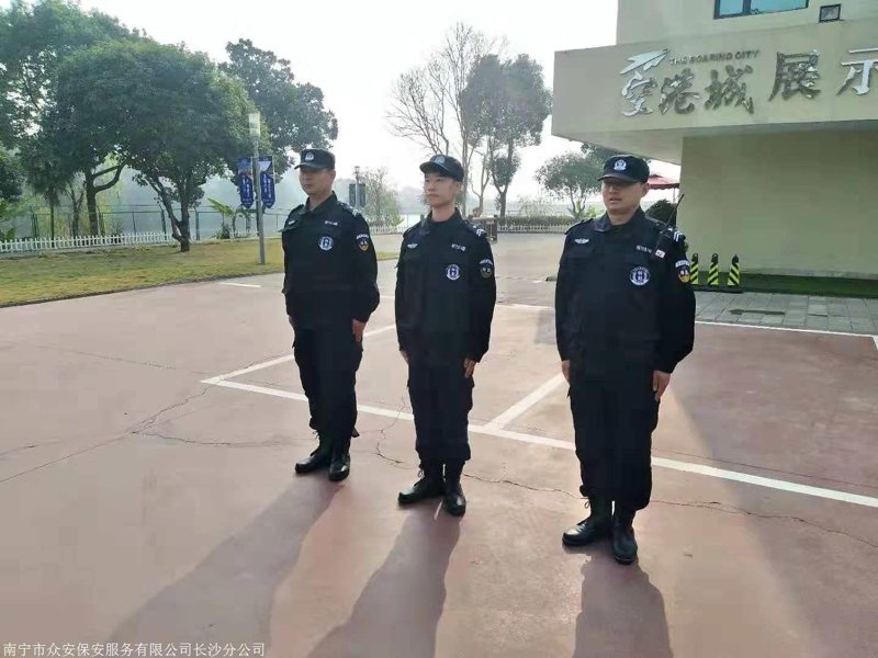 保安行业的风云变化与行业洞察